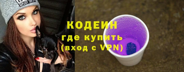 дмт Арсеньев