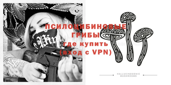 дмт Арсеньев