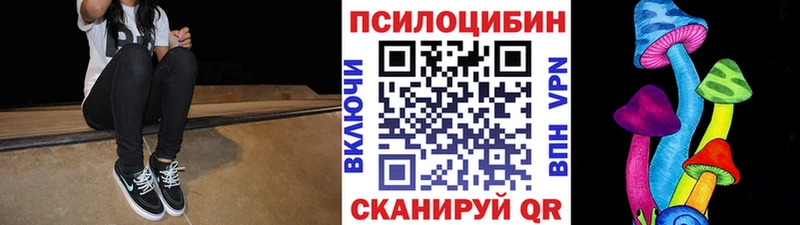 продажа наркотиков  ссылка на мегу онион  Псилоцибиновые грибы MAGIC MUSHROOMS  Советская Гавань 